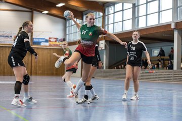 Bild 149 - wBJ HSG Kremperheide/Muensterdorf - HSG Joerl-Doppeleiche Vioel : Ergebnis: 34:23